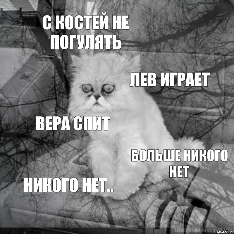 с костей не погулять лев играет вера спит больше никого нет никого нет..