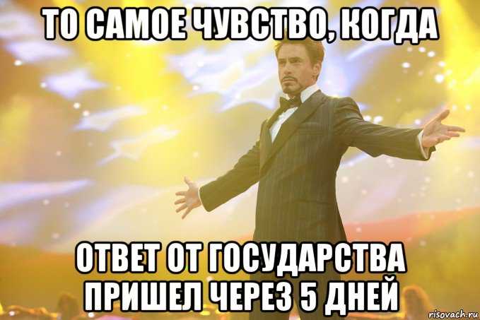 то самое чувство, когда ответ от государства пришел через 5 дней, Мем Тони Старк (Роберт Дауни младший)