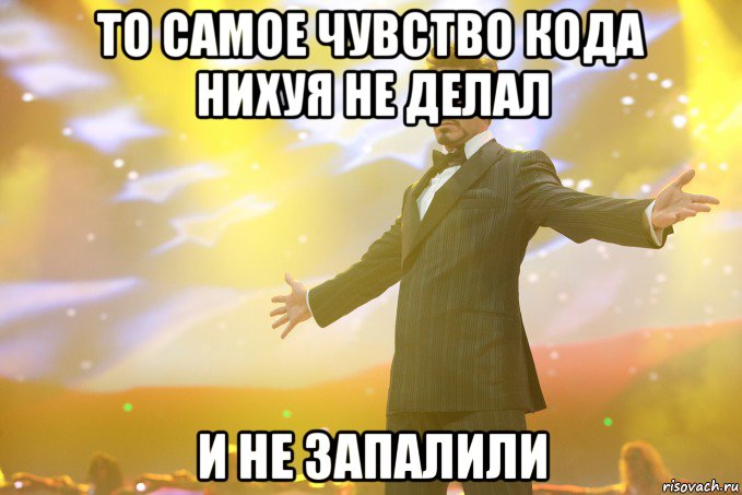 то самое чувство кода нихуя не делал и не запалили, Мем Тони Старк (Роберт Дауни младший)