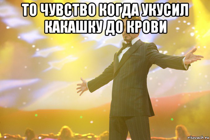 То чувство когда укусил какашку до крови , Мем Тони Старк (Роберт Дауни младший)