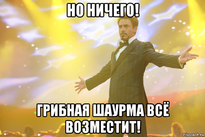 Но ничего! Грибная шаурма всё возместит!, Мем Тони Старк (Роберт Дауни младший)