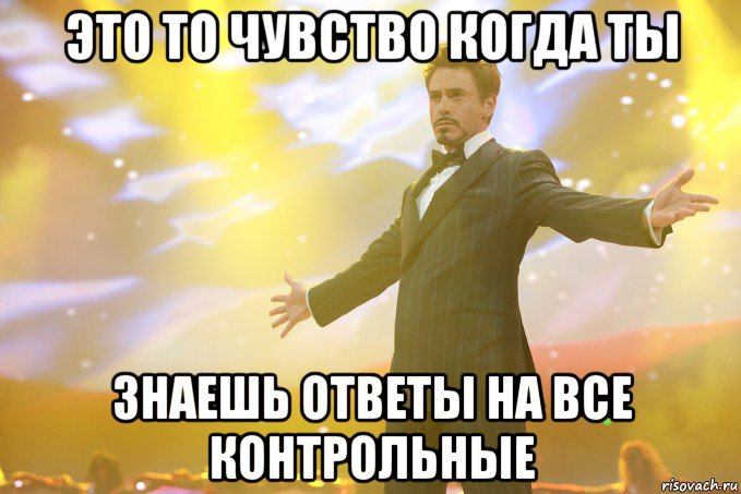это то чувство когда ты знаешь ответы на все контрольные, Мем Тони Старк (Роберт Дауни младший)