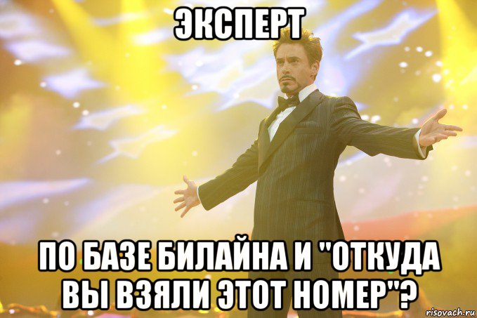 ЭКСПЕРТ ПО БАЗЕ БИЛАЙНА И "ОТКУДА ВЫ ВЗЯЛИ ЭТОТ НОМЕР"?, Мем Тони Старк (Роберт Дауни младший)