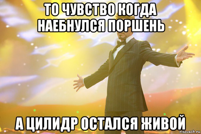 То чувство когда наебнулся поршень А цилидр остался живой, Мем Тони Старк (Роберт Дауни младший)