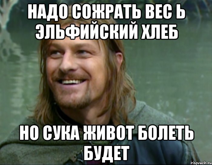 надо сожрать вес ь эльфийский хлеб но сука живот болеть будет, Мем Тролль Боромир