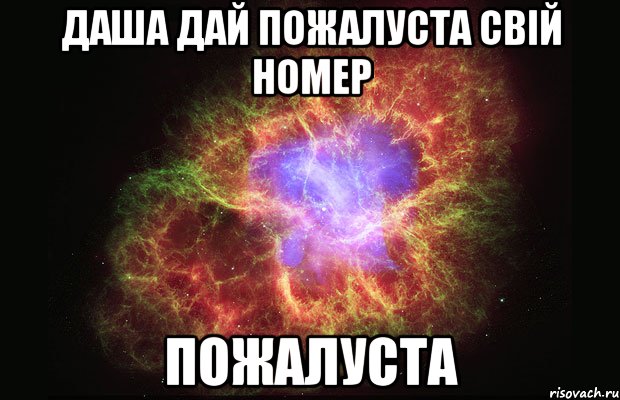 Даша Дай пожалуста свій номер пожалуста, Мем Туманность