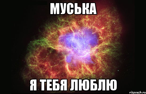 Муська Я тебя люблю, Мем Туманность