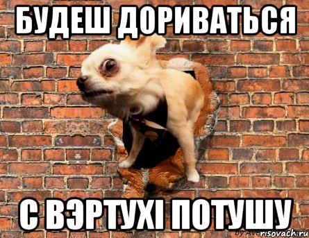 Будеш дориваться С вэртухі потушу