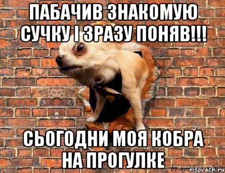 пабачив знакомую сучку і зразу поняв!!! сьогодни моя кобра на прогулке