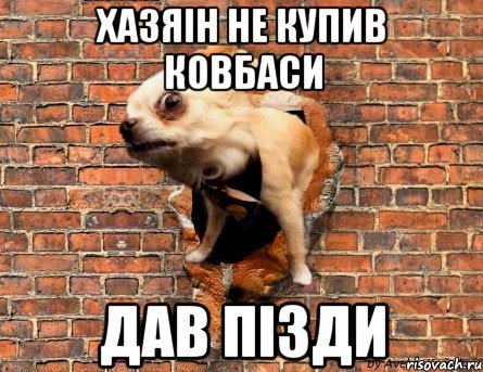 Хазяін не купив ковбаси дав пізди