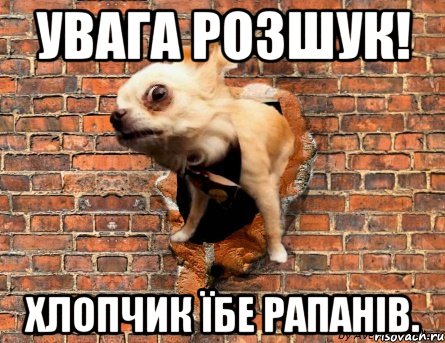 Увага розшук! Хлопчик їбе рапанів.