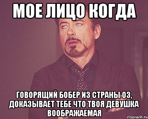 мое лицо когда говорящий бобер из страны оз, доказывает тебе что твоя девушка воображаемая, Мем твое выражение лица