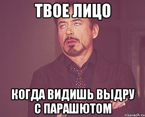 Твое лицо Когда видишь выдру с парашютом, Мем твое выражение лица