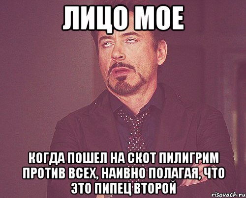 лицо мое когда пошел на скот пилигрим против всех, наивно полагая, что это пипец второй, Мем твое выражение лица