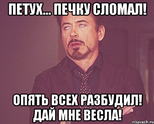 петух... печку сломал! опять всех разбудил! дай мне весла!, Мем твое выражение лица