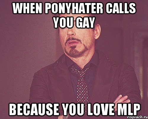 When ponyhater calls you gay Because you love MLP, Мем твое выражение лица