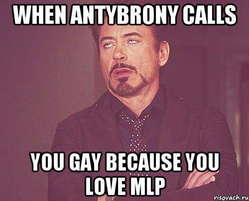 When antybrony calls You gay Because you love MLP, Мем твое выражение лица