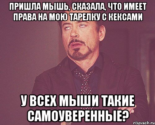 Пришла мышь, сказала, что имеет права на мою тарелку с кексами У всех мыши такие самоуверенные?, Мем твое выражение лица