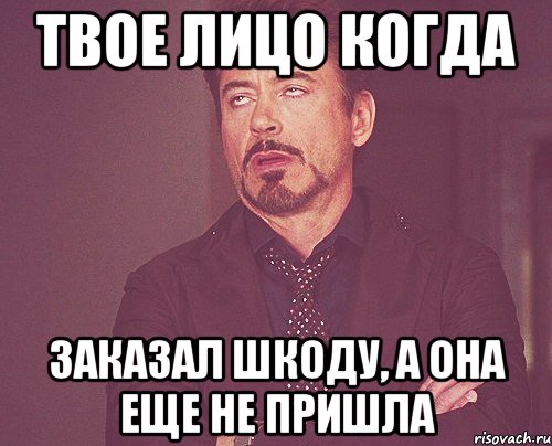 Твое лицо когда Заказал шкоду, а она еще не пришла, Мем твое выражение лица