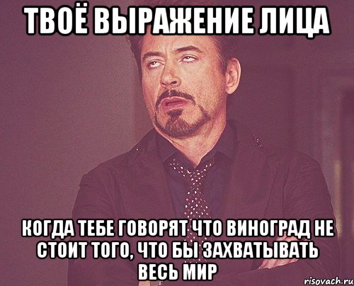 твоё выражение лица когда тебе говорят что виноград не стоит того, что бы захватывать весь мир, Мем твое выражение лица