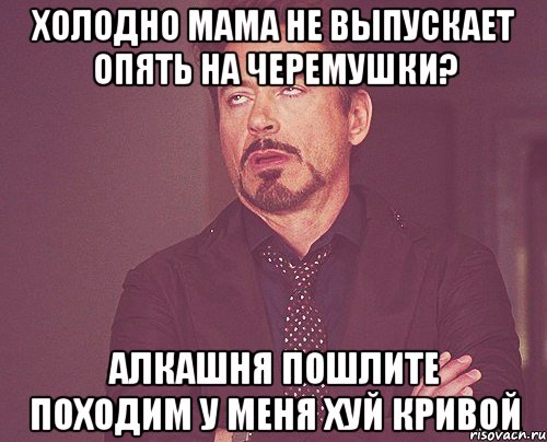 Холодно Мама не выпускает Опять на Черемушки? Алкашня Пошлите походим У меня хуй кривой, Мем твое выражение лица