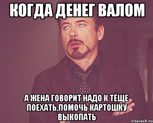 когда денег валом а жена говорит надо к тёще поехать,помочь картошку выкопать, Мем твое выражение лица