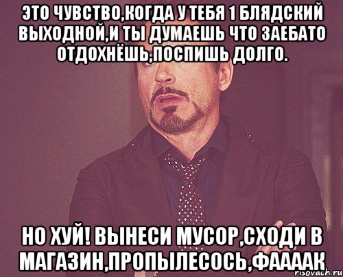 Это чувство,когда у тебя 1 блядский выходной,и ты думаешь что заебато отдохнёшь,поспишь долго. Но хуй! вынеси мусор,сходи в магазин,пропылесось,фаааак, Мем твое выражение лица