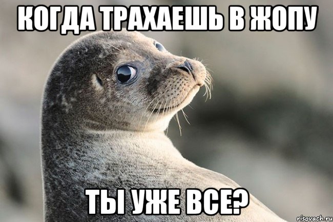 Когда трахаешь в жопу Ты уже все?