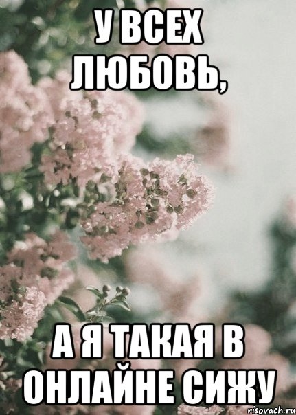 У всех любовь, А Я ТАКАЯ В ОНЛАЙНЕ СИЖУ