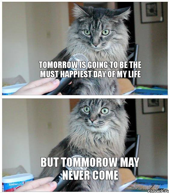 tomorrow is going to be the must happiest day of my life But tommorow may never come, Комикс  кот с микрофоном