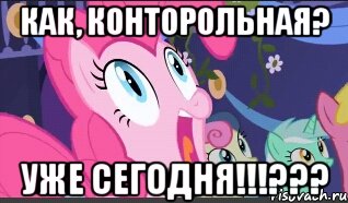 Как, конторольная? Уже сегодня!!!???