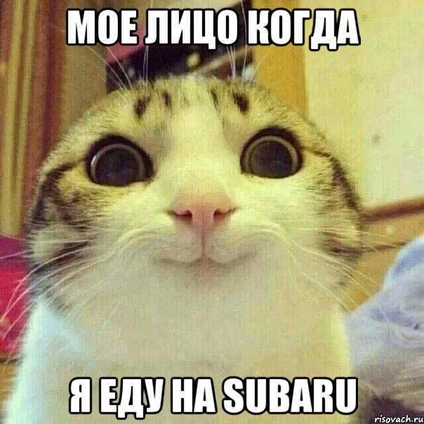 мое лицо когда я еду на SUBARU