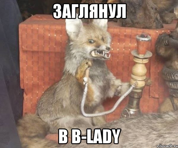 Заглянул в b-lady, Мем Упоротый лис курит кальян