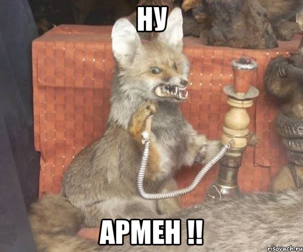 Ну Армен !!, Мем Упоротый лис курит кальян