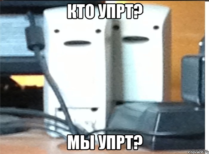 кто упрт? мы упрт?, Мем упрт