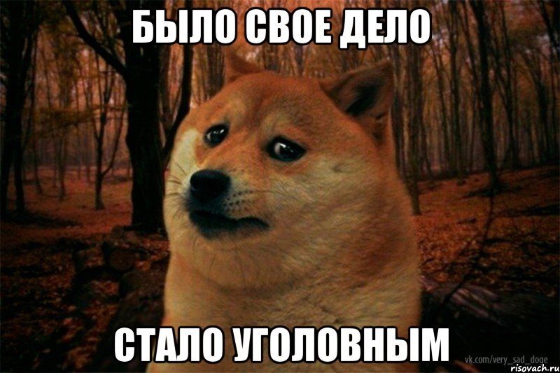 было свое дело стало уголовным, Мем SAD DOGE