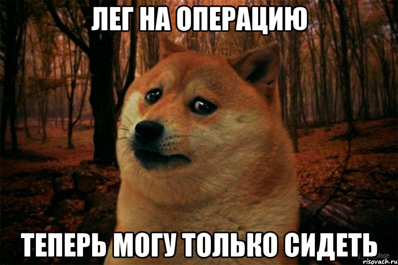 лег на операцию теперь могу только сидеть, Мем SAD DOGE