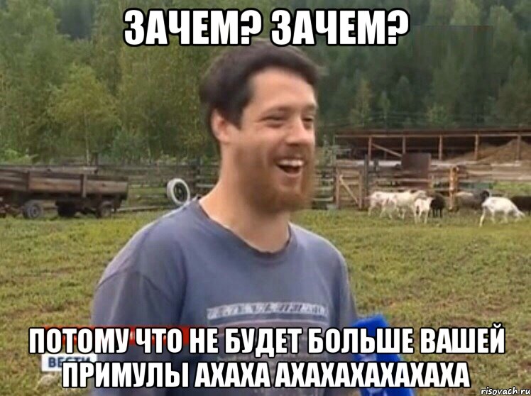 Зачем? Зачем? Потому что не будет больше вашей Примулы АХАХА АХАХАХАХАХАХА, Мем  Веселый молочник Джастас Уолкер