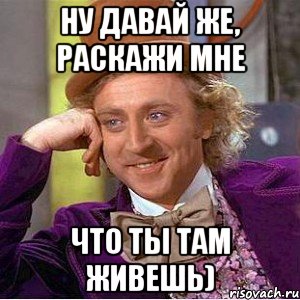 Ну давай же, раскажи мне что ты ТАМ живешь), Мем Ну давай расскажи (Вилли Вонка)