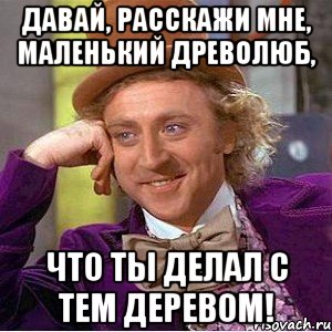 Давай, расскажи мне, маленький древолюб, что ты делал с тем деревом!, Мем Ну давай расскажи (Вилли Вонка)