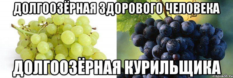 Долгоозёрная здорового человека Долгоозёрная курильщика