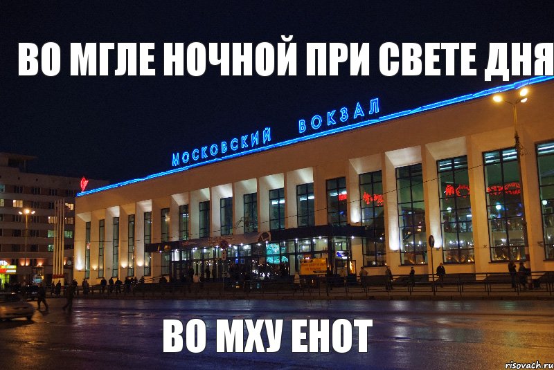 Во мгле ночной при свете дня во мху енот, Комикс Во мгле ночной при свете дня на 