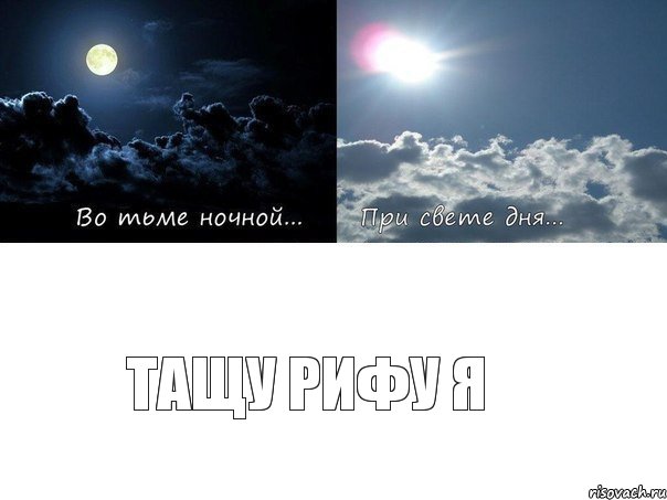 Тащу Рифу я