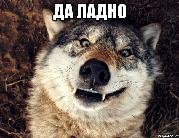 Да ладно 