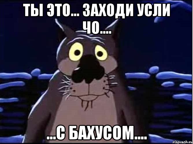 ТЫ ЭТО... ЗАХОДИ УСЛИ ЧО.... ...С БАХУСОМ...., Мем волк