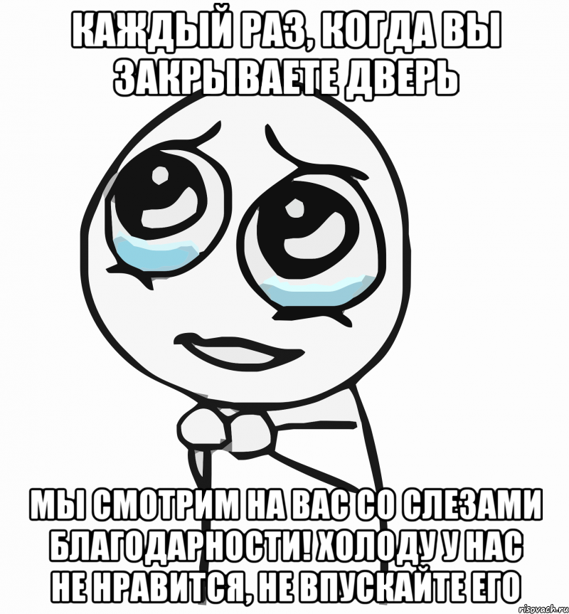 каждый раз, когда вы ЗАКРЫВАЕТЕ ДВЕРЬ мы смотрим на вас со слезами благодарности! холоду у нас не нравится, не впускайте его, Мем  ну пожалуйста (please)