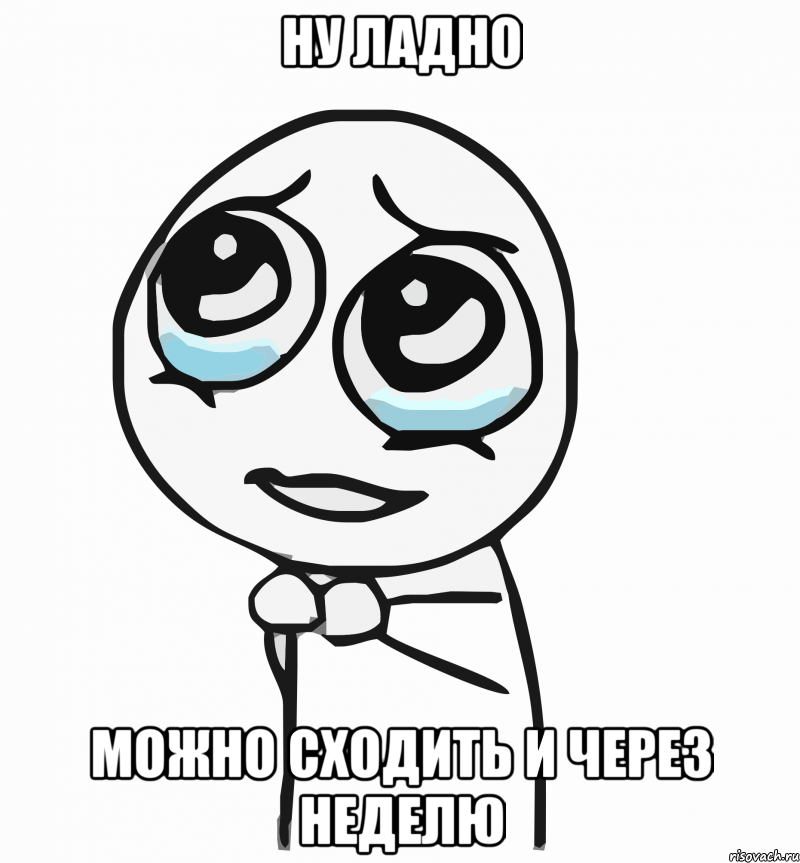 НУ ЛАДНО МОЖНО СХОДИТЬ И ЧЕРЕЗ НЕДЕЛЮ, Мем  ну пожалуйста (please)