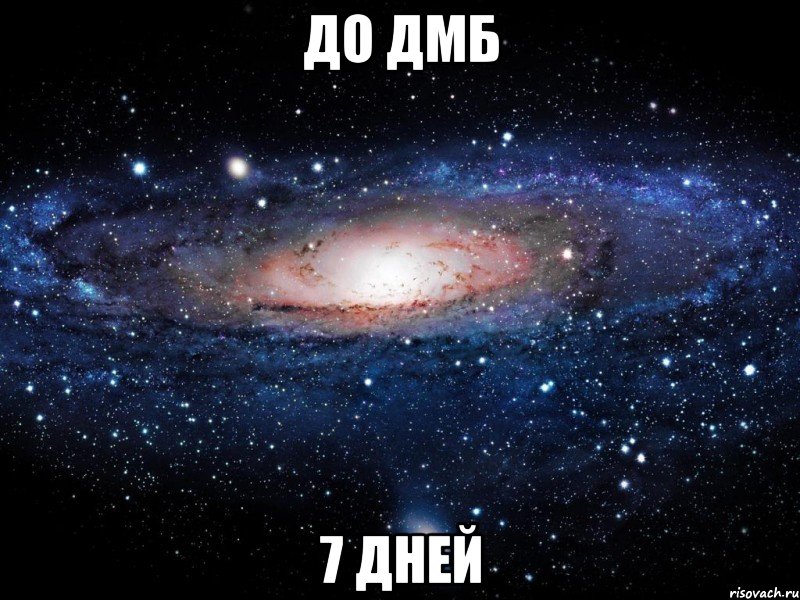 ДО ДМб 7 дней, Мем Вселенная