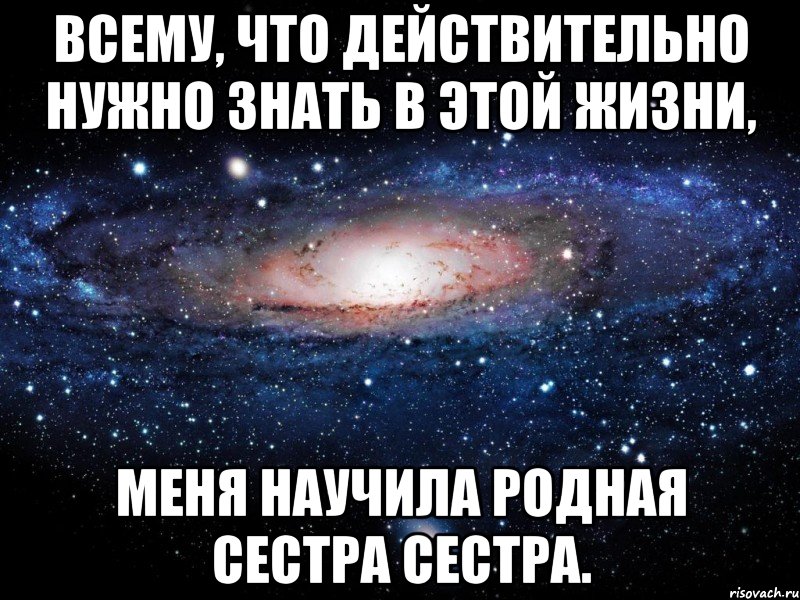 Всему, что действительно нужно знать в этой жизни, меня научила родная сестра сестра., Мем Вселенная