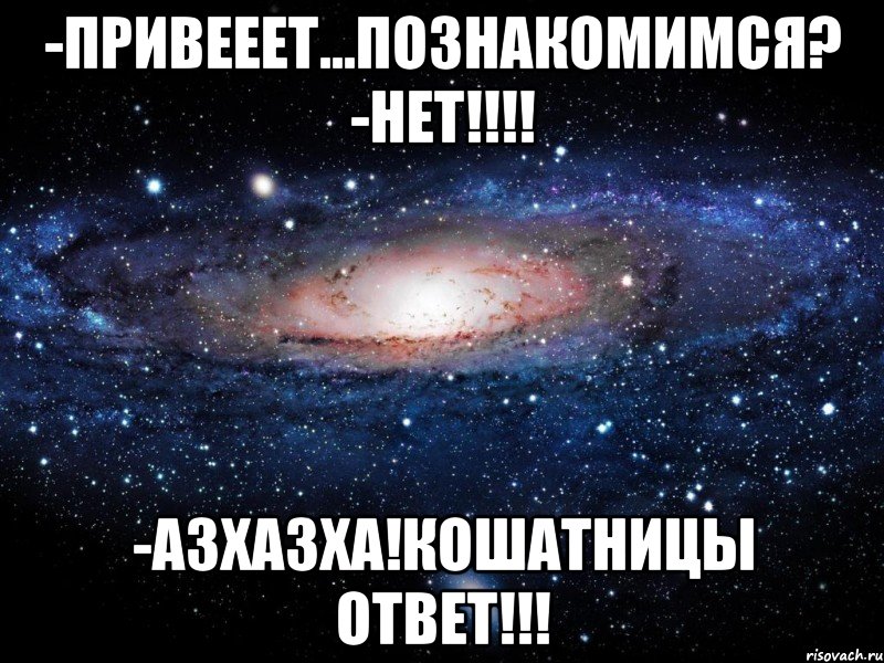 -Привееет...Познакомимся? -НЕТ!!!! -Азхазха!Кошатницы ответ!!!, Мем Вселенная